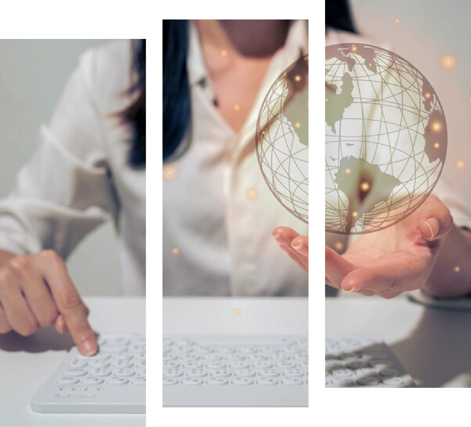 TradExpress illustrazione